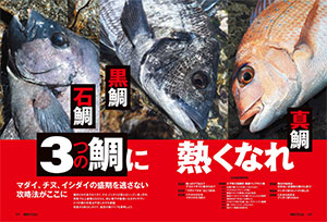 別冊つり人シリーズ SEABASS Life No.17 (発売日2023年06月14日