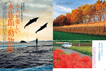家庭画報の最新号【2026年1月号 (発売日2025年12月01日)】| 雑誌/電子