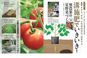 野菜だよりの最新号【2026年11月号 (発売日2026年10月02日)】| 雑誌