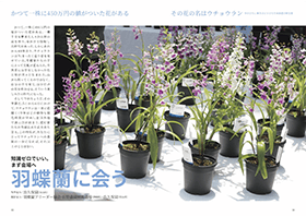 園芸Japan｜定期購読で送料無料 - 雑誌のFujisan