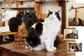 ねこ #124 (発売日2023年04月17日) | 雑誌/電子書籍/定期購読の予約は